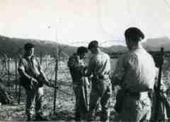 ���� ������ ��� ��� ����